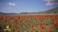 Altopiano dei colori