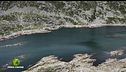 Parco Adamello, scrigno di biodiversità