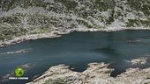 Parco Adamello, scrigno di biodiversità