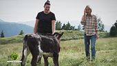 La libertà della montagna