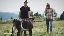 La libertà della montagna