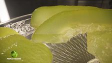 Candito al cedro