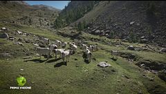 Antica tradizione piemontese