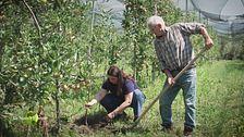 Filiere corte che valorizzano prodotti locali