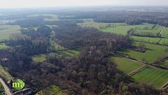 Puntata del 25 gennaio