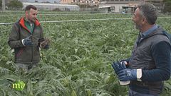 Puntata dell'1 febbraio