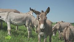 Puntata dell'1 marzo