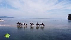 Puntata del 22 marzo