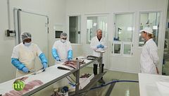 La lavorazione del pescato fresco