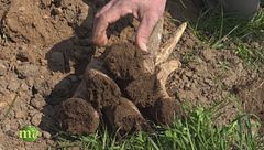 I preparati bio dinamici