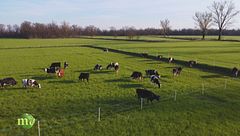 La stalla biodinamica