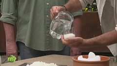 Latte d'asina liofilizzato