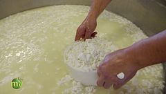 I prodotti caseari de "La Fiorida"