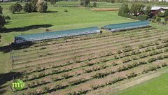 Orto a chilometro zero