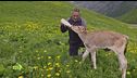 Feel the Alps
