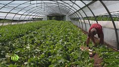 L'agricoltura di montagna