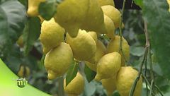 Puntata del 4 gennaio - Prima parte