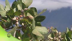 Puntata del 18 gennaio - Seconda parte