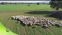 Puntata dell'1 febbraio - Prima parte