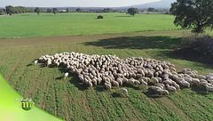 Puntata dell'1 febbraio - Prima parte