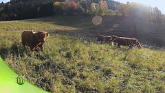 Puntata 22 febbraio - Prima parte