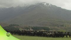 Puntata 22 febbraio - Seconda parte