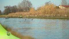 Puntata dell'8 marzo - Prima parte