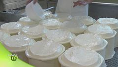 Puntata dell'8 marzo - Seconda parte