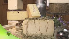 Puntata del 22 marzo - Prima parte