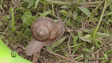 Puntata del 12 aprile - Seconda parte