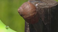 Puntata del 3 maggio - Seconda parte