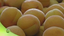 Puntata del 10 maggio - Prima parte