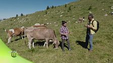 Puntata del 10 maggio - Seconda parte
