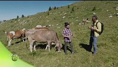 Puntata del 10 maggio - Seconda parte