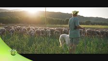 Puntata del 5 luglio - Seconda parte