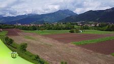 Puntata del 2 agosto - Seconda parte