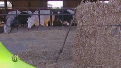 Agricoltori dal 1898