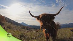 Agricoltura di alta quota