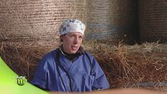 La visita veterinaria