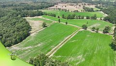 Agricoltura biodinamica