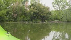 Parco ittico Paradiso