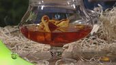 Gli infusi per creare amari