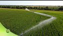 Coltiviamo il rispetto della Terra