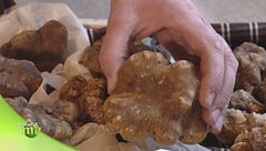 Puntata dell'1 gennaio