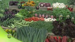 Puntata del 29 marzo