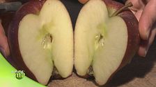 Le qualità nutrizionali della mela