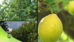 Puntata del 21 marzo