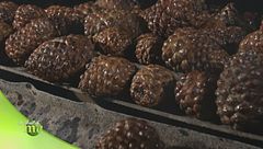 Puntata del 28 marzo