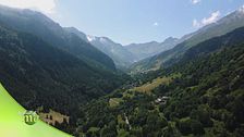 Puntata dell'11 luglio