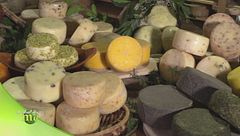 La produzione del pecorino